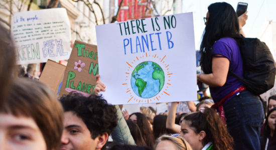 Making Democracy Fit for Climate 