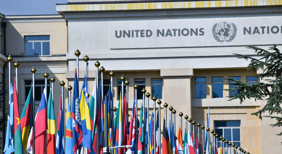 Flags in fron of the UN building