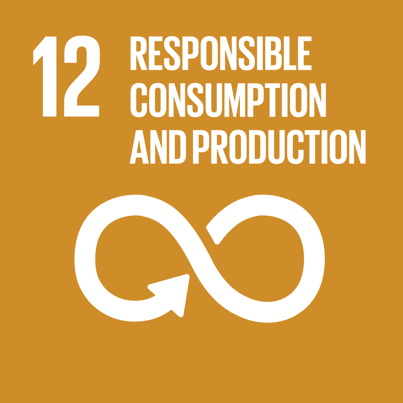12: Responsible consumption and production