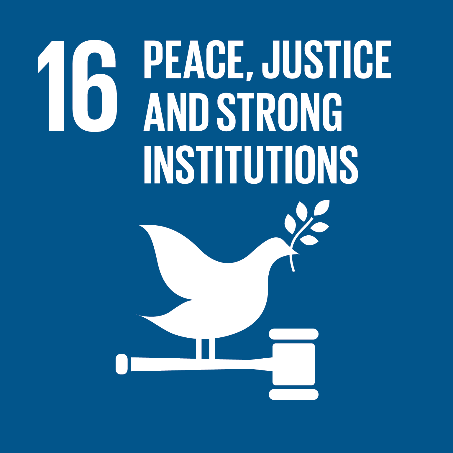 16: Peace, justice and strong institutions