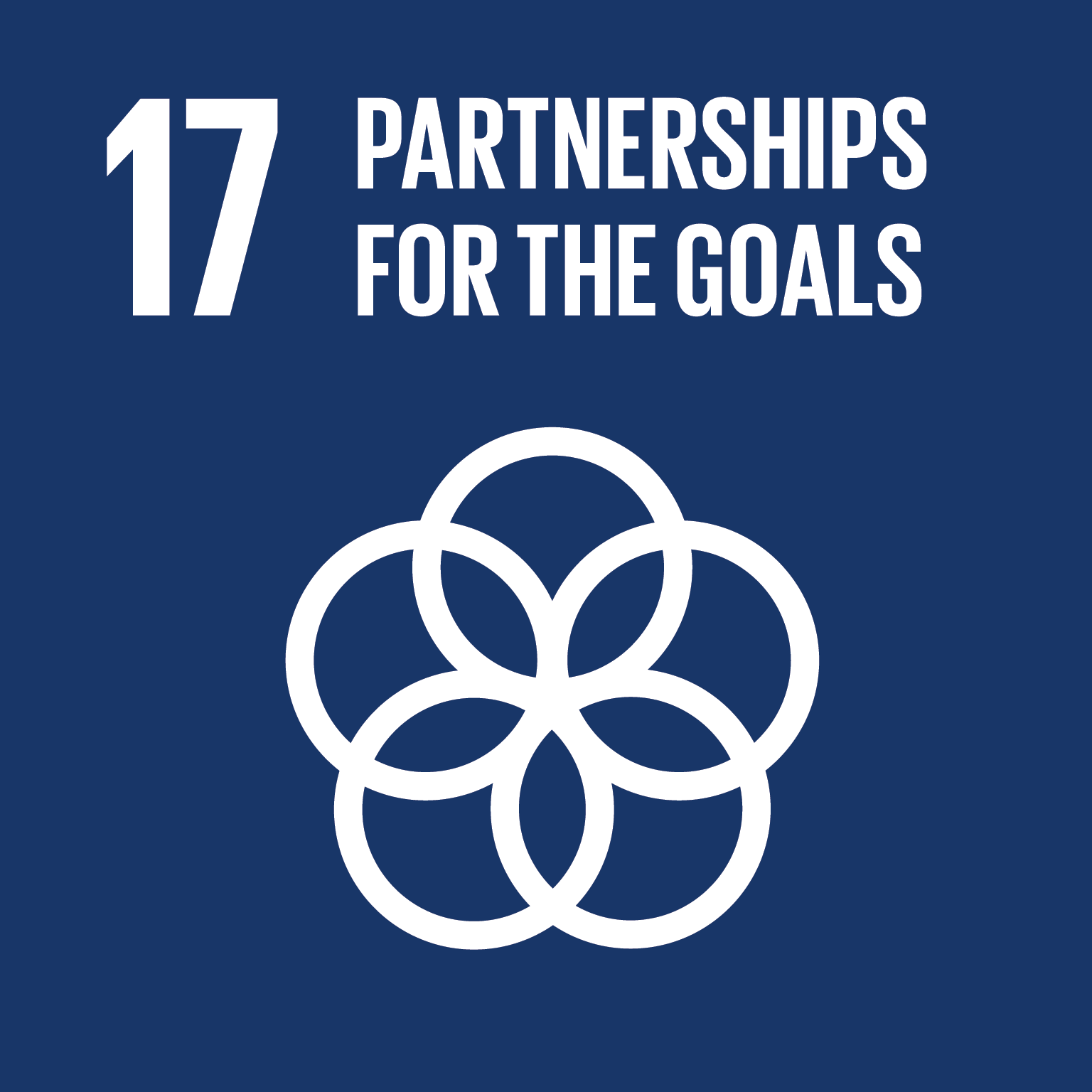 17: Partnerships for the goals