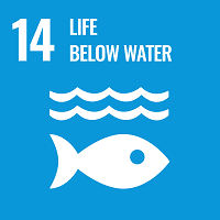 Sustainable Development Goal 14, infographic illustrating a fish in the ocean